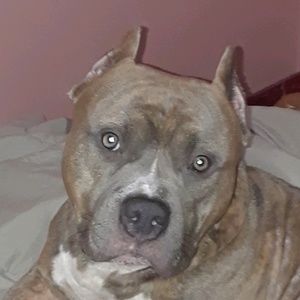 Meet your Posher, Selena